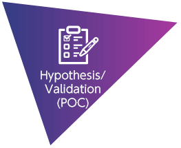 Hypothesis/Validation (POC)