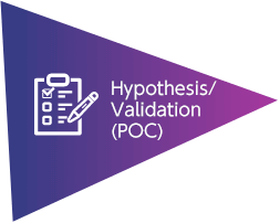 Hypothesis/Validation (POC)
