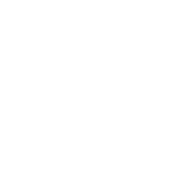 Strengths of macnica.ai